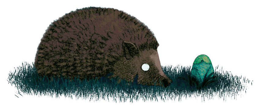 Illustration of a hedgehog sniffing a colorful egg.