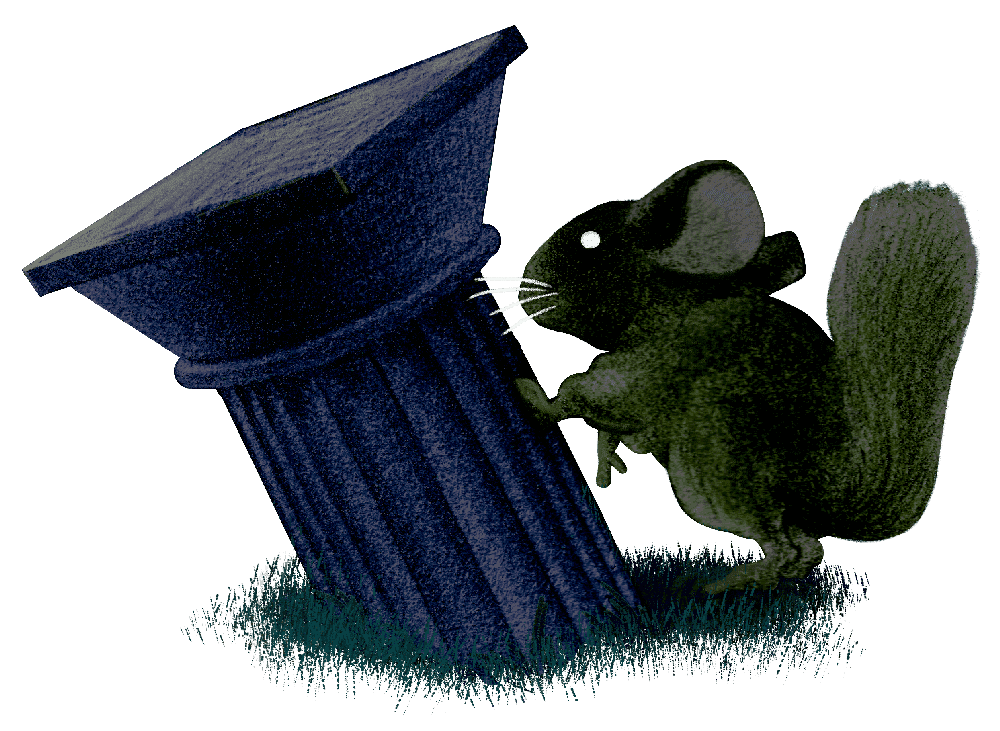 Illustration of a chinchilla leaning on a stone column.